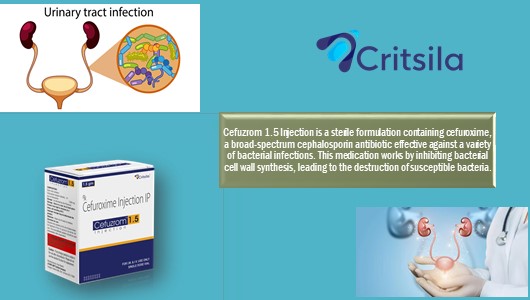 Cefuzrom 1.5 Injection at Best Price in Antibiotics Pharma Franchise for Antibiotics & Bacterial Infections.